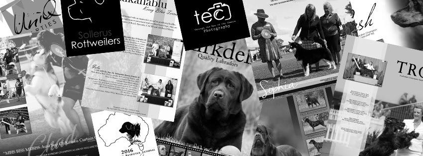 Cover Photo Banner Design